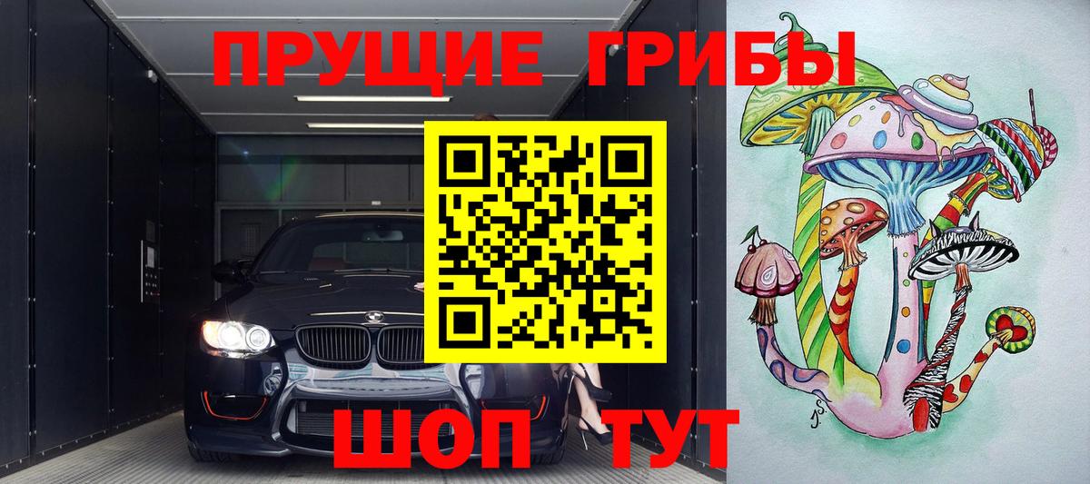 Псилоцибиновые грибы Cubensis  Псилоцибиновые грибы прущие грибы  цена   Рубцовск  Вход с VPN 