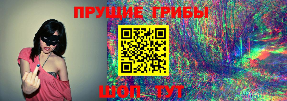 Псилоцибиновые грибы GOLDEN TEACHER  Рубцовск  Галлюциногенные грибы мицелий 