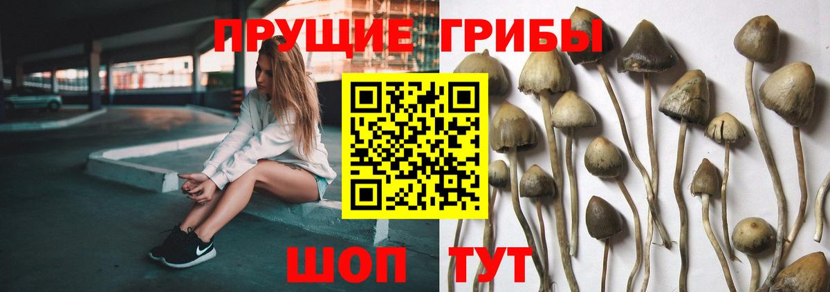Галлюциногенные грибы мухоморы Рубцовск