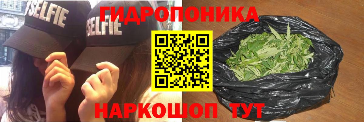 Каннабис план  Шишки марихуана индика  Вход с VPN  Канабис план  МАРИХУАНА Amnesia  Рубцовск 